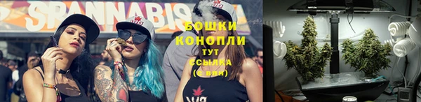 крисы Бугульма