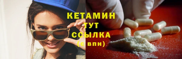 дурь Бородино