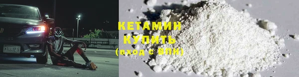 дурь Бородино