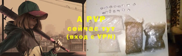 дурь Бородино