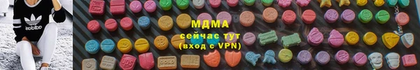 дурь Бородино