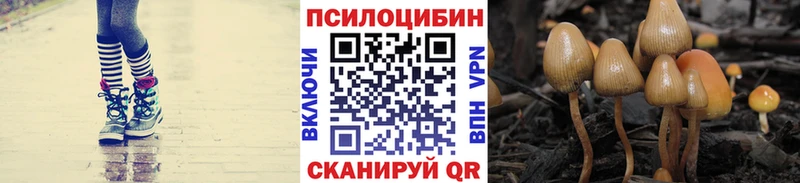 Галлюциногенные грибы ЛСД  Гатчина 